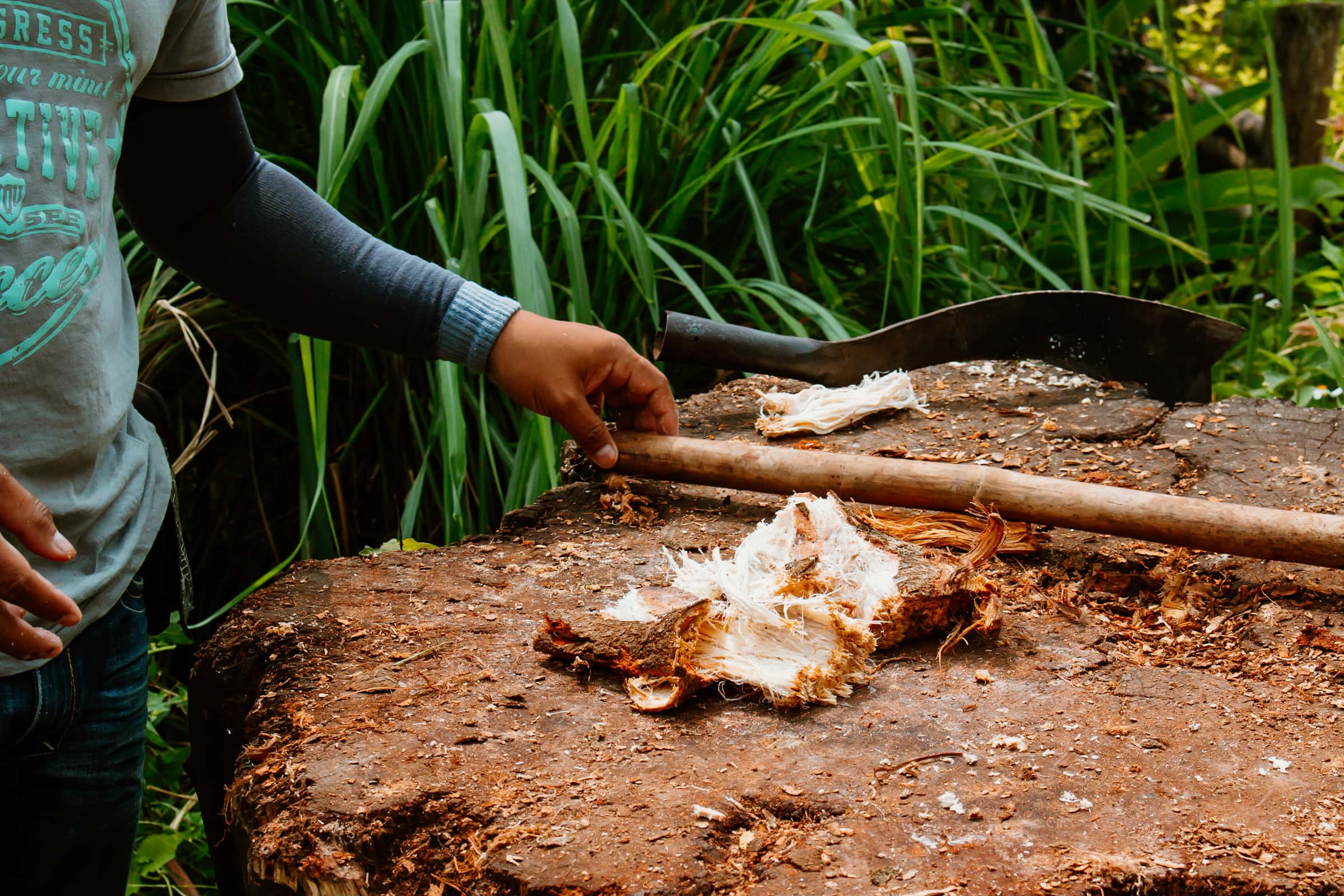 Mahout mit Seife für Elefanten, baden mit Elefanten in Thailand