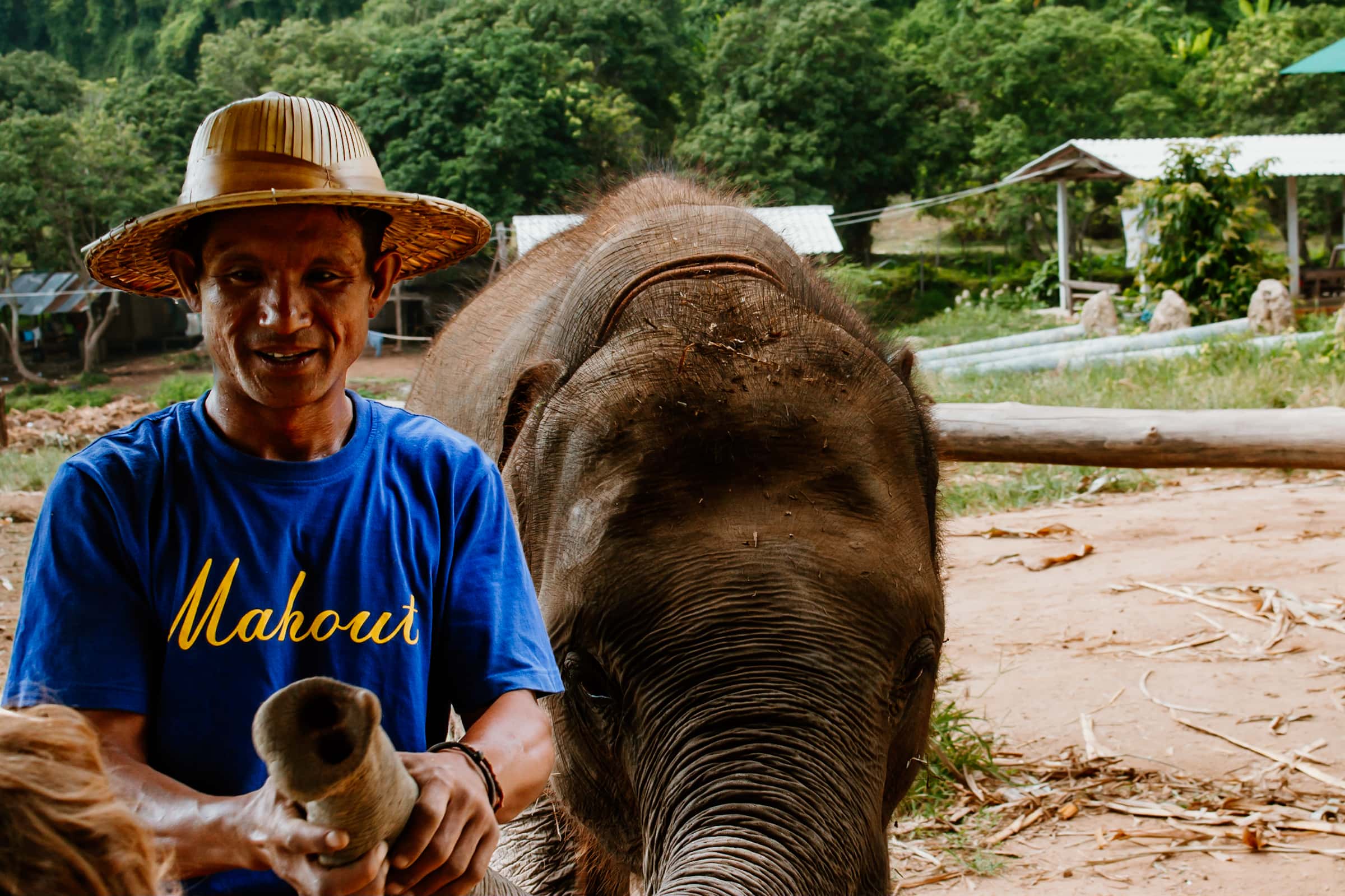 Mahout mit Elefant im Elefantencamp in Chiang Mai