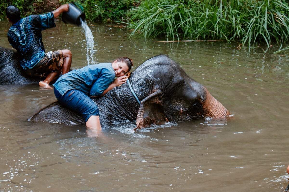 bathing with elephants