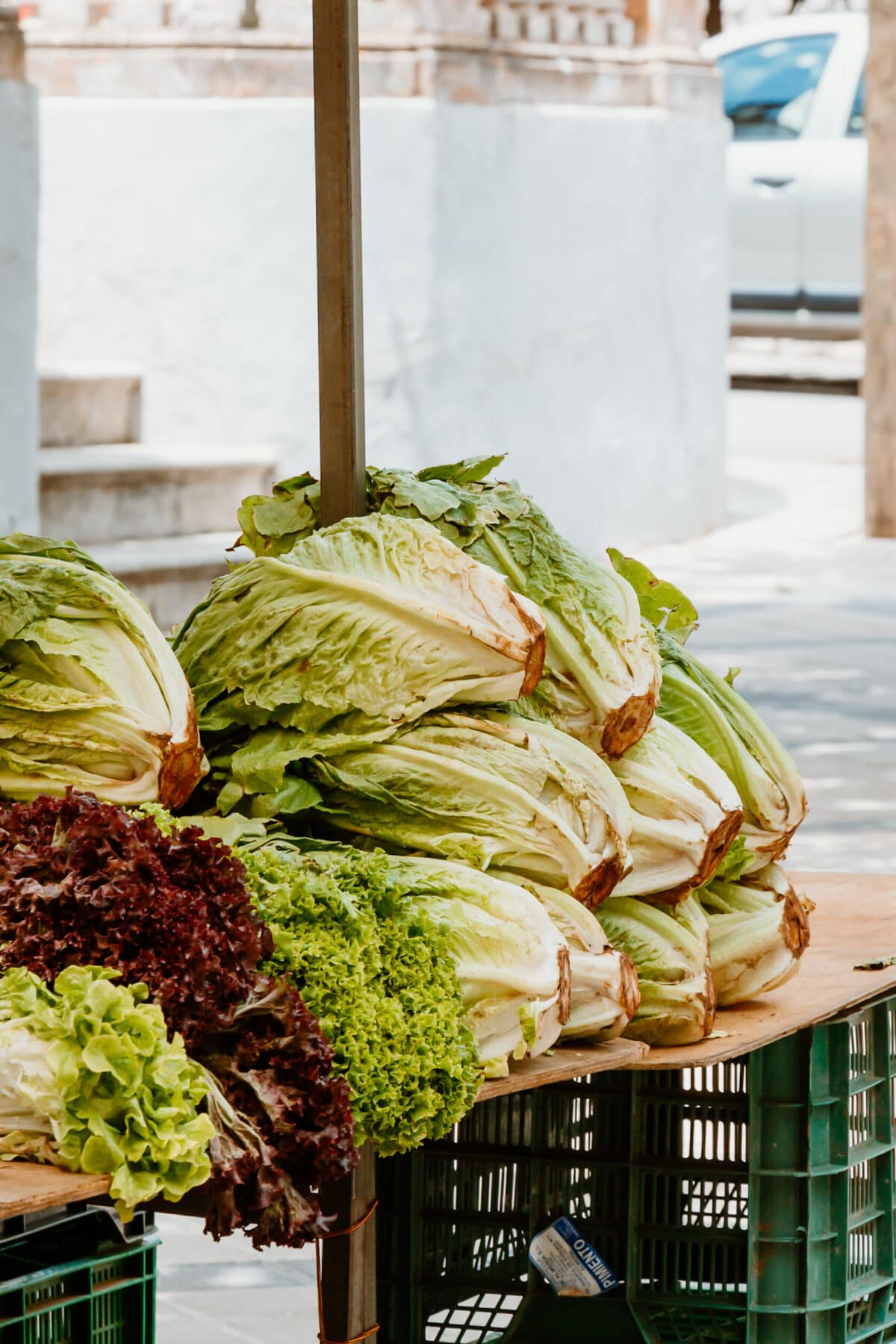 Esporles Mallorca Markt Stand Salat