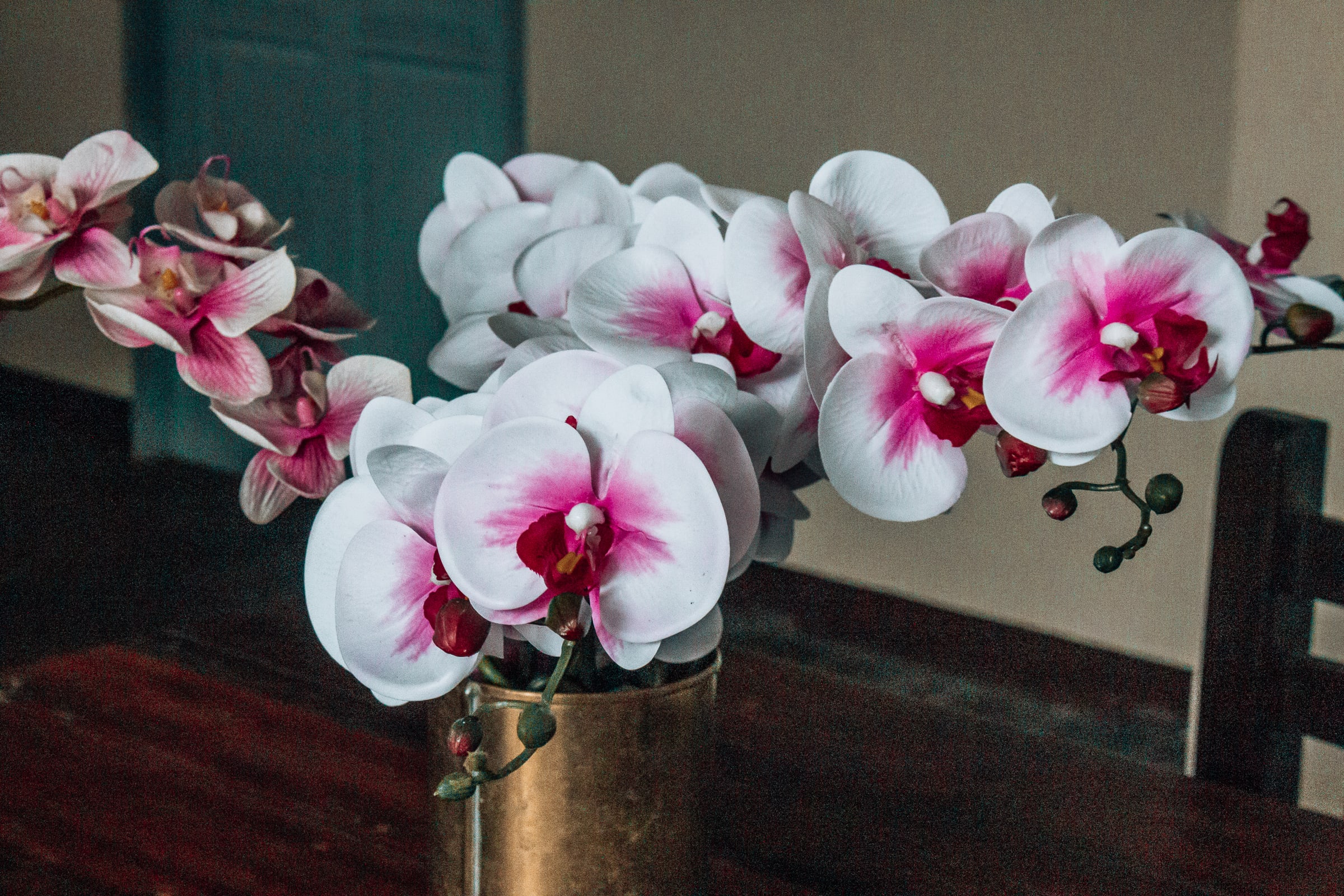 The Memory at On On Hotel, Phuket