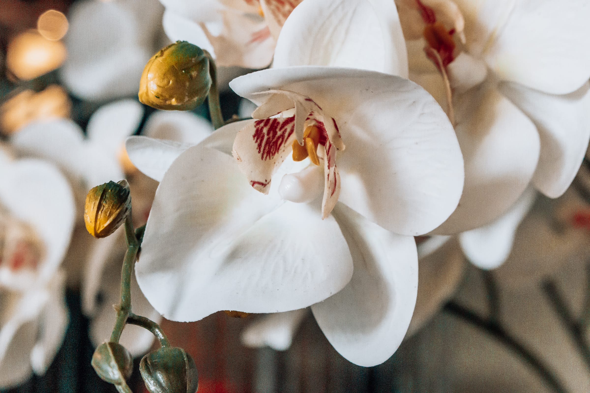 The Memory at On On Hotel, Phuket