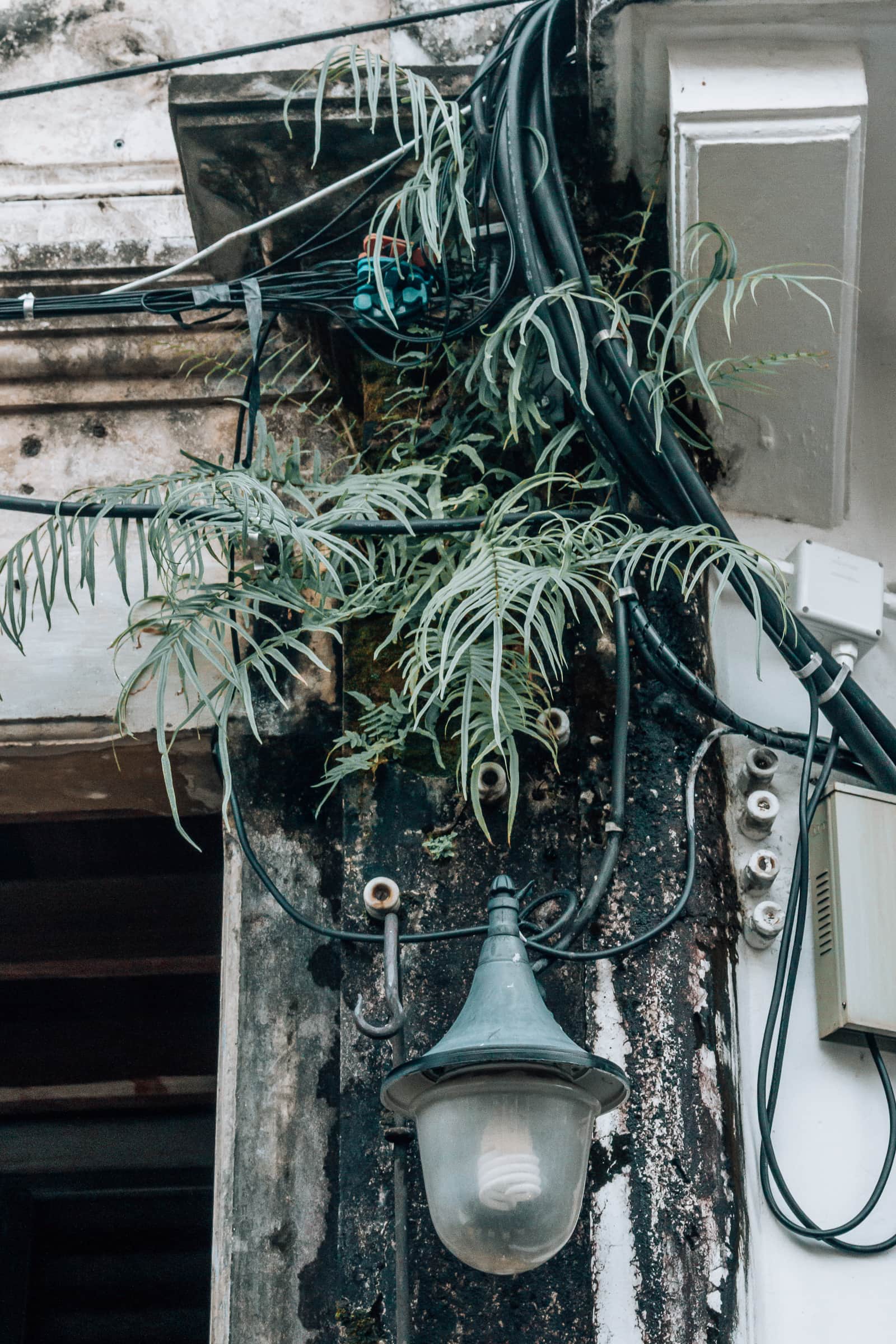 Phuket Stadt Thailand Straße Laterne