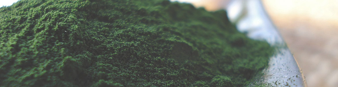 Marine-Phytoplankton-longevity-diet