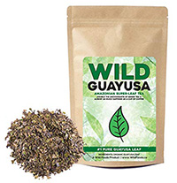 Guayusa-Tea-Organic-Longevity