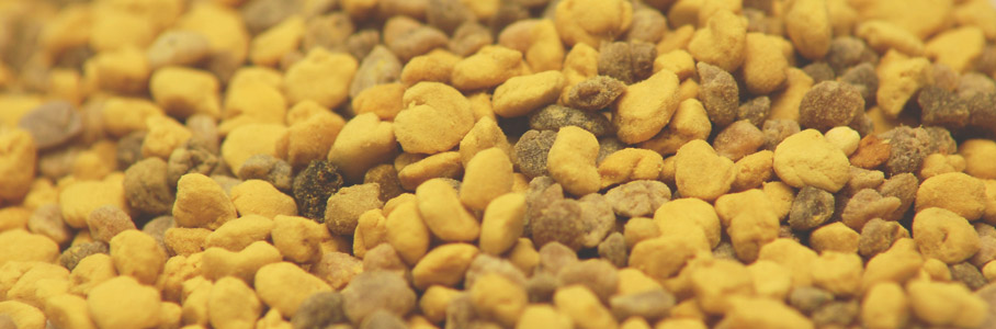 bee-pollen-granules