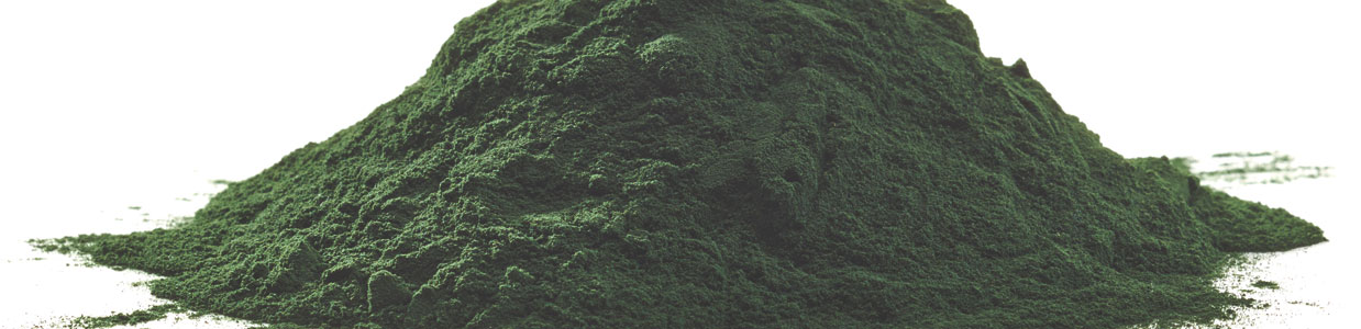 chlorella-powder-3