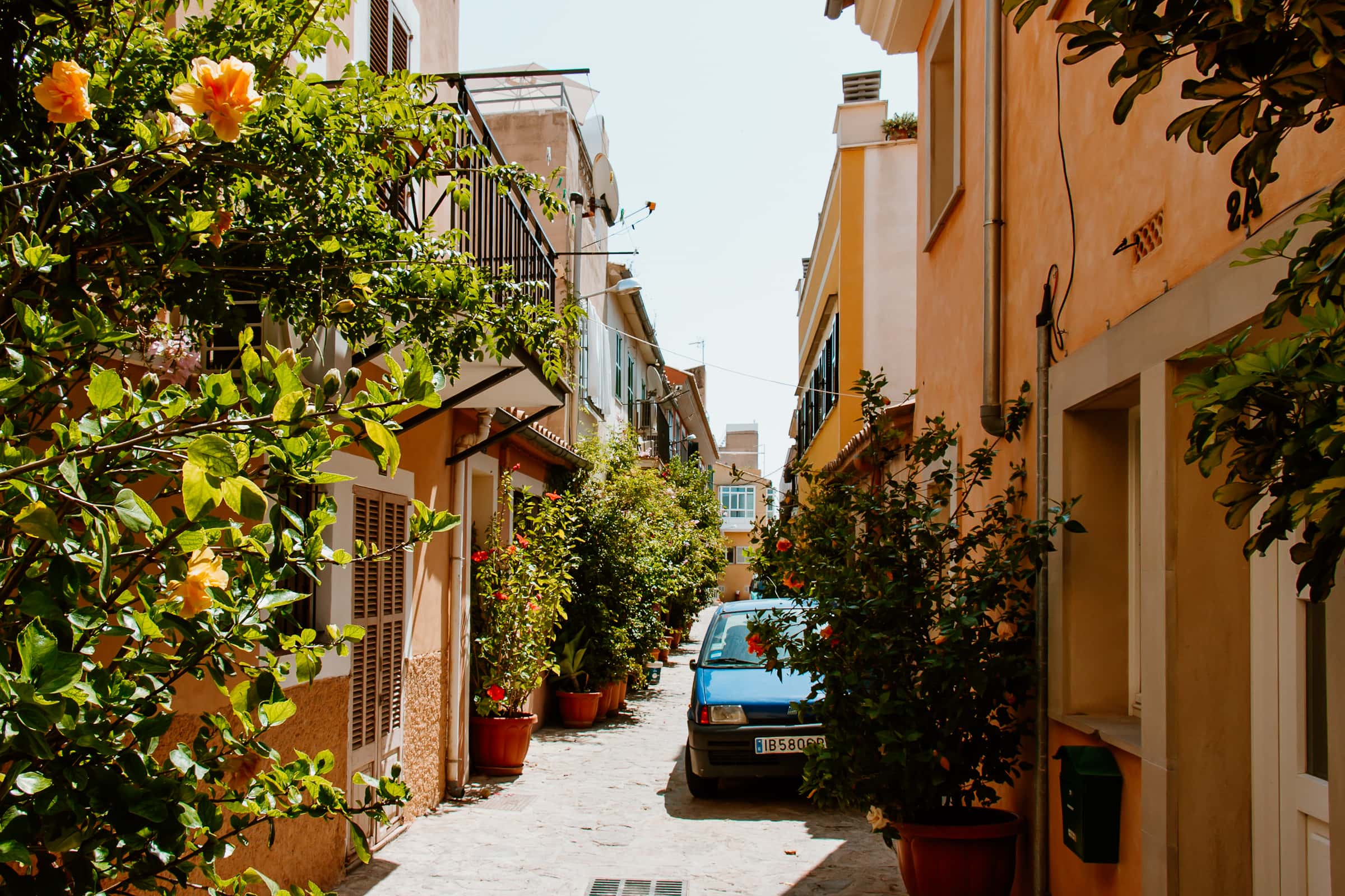 Santa Catalina Tipps Palma de Mallorca