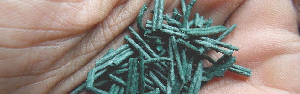 spirulina-food