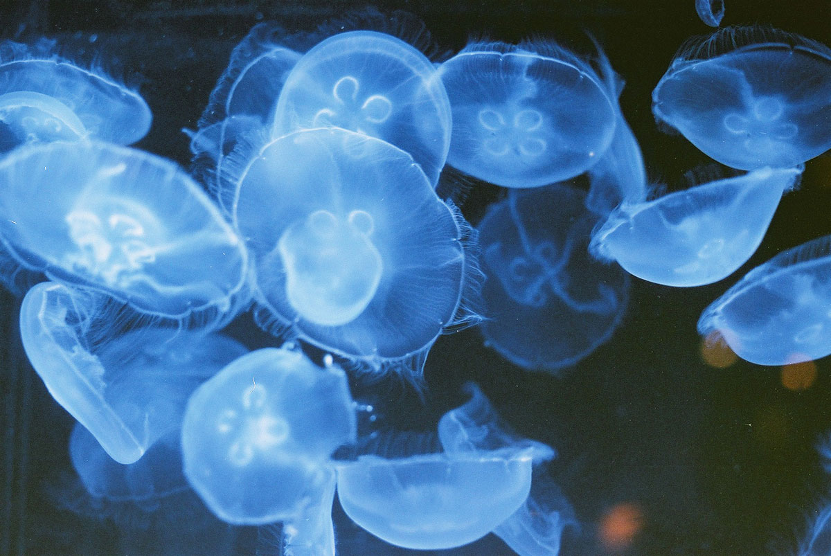 DNA-Activation-and-Healing-Epigenetics