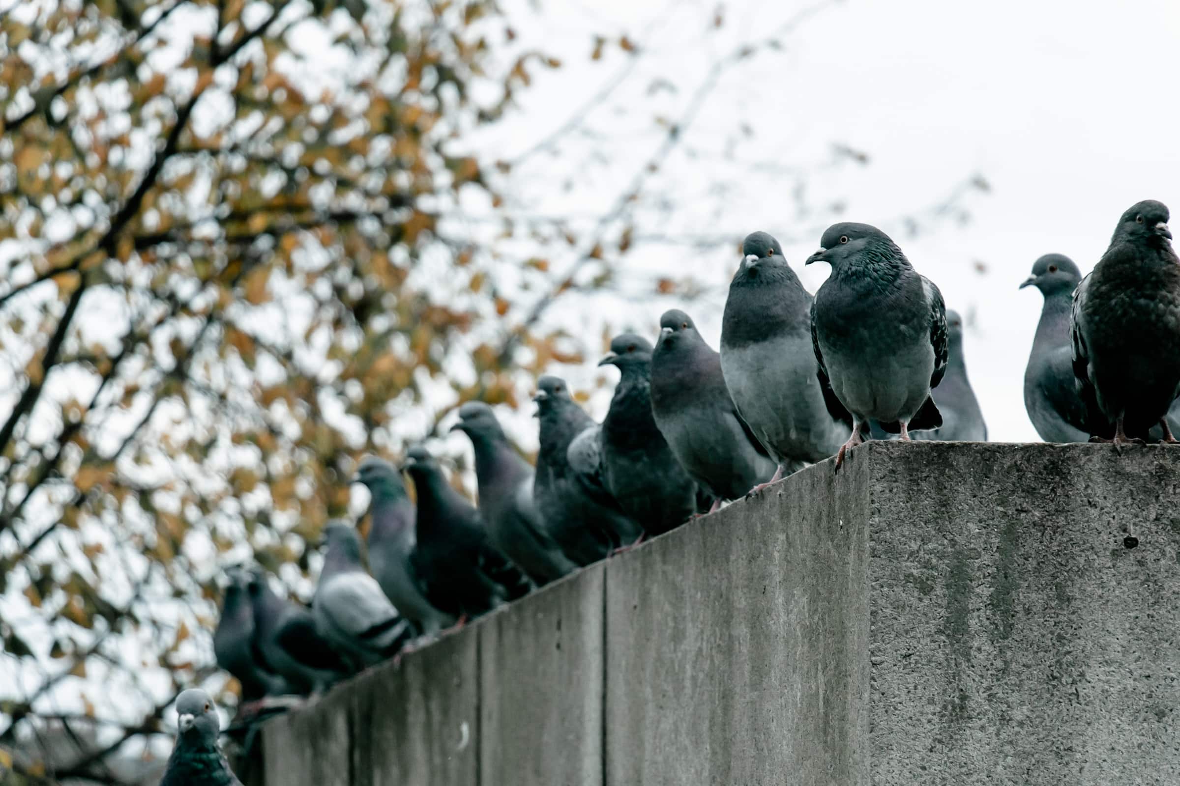 Aberdeen Sehenswürdigkeiten Schottland Silver City grau Granit