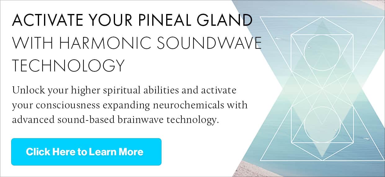 Pineal-Gland-Banner-Ver-1.0