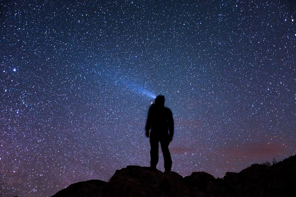 life-path-number-purpose-wondering