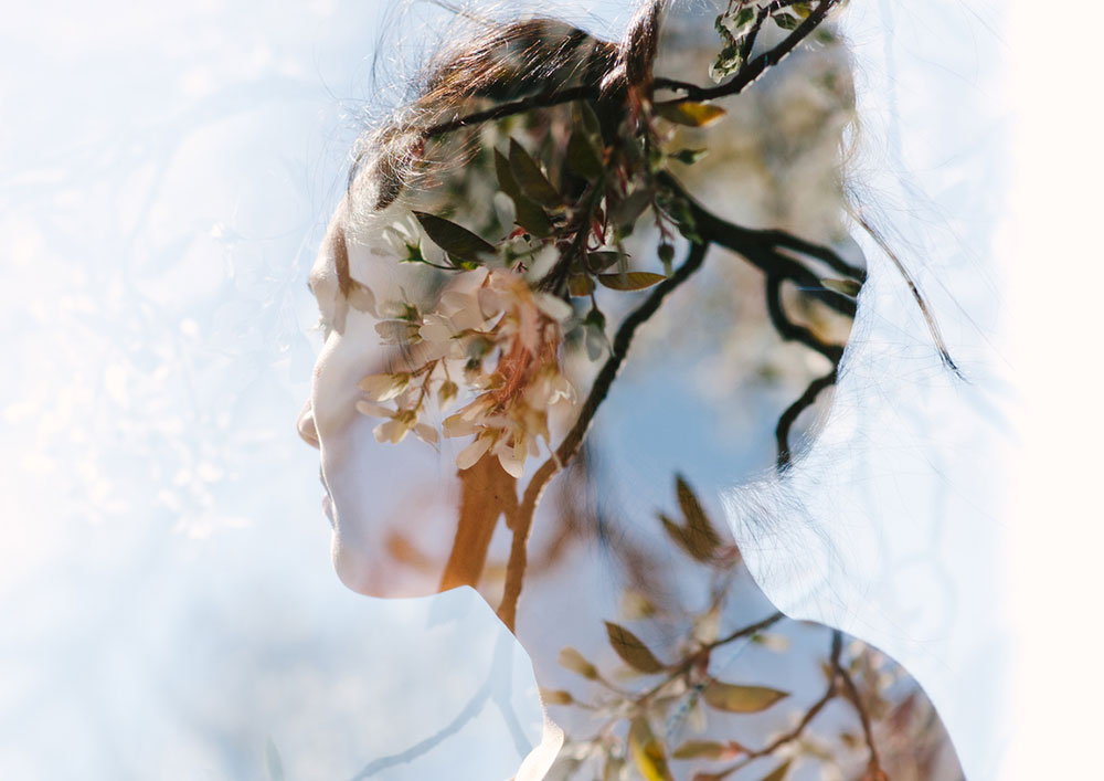 nature-therapy-eco-brain-2