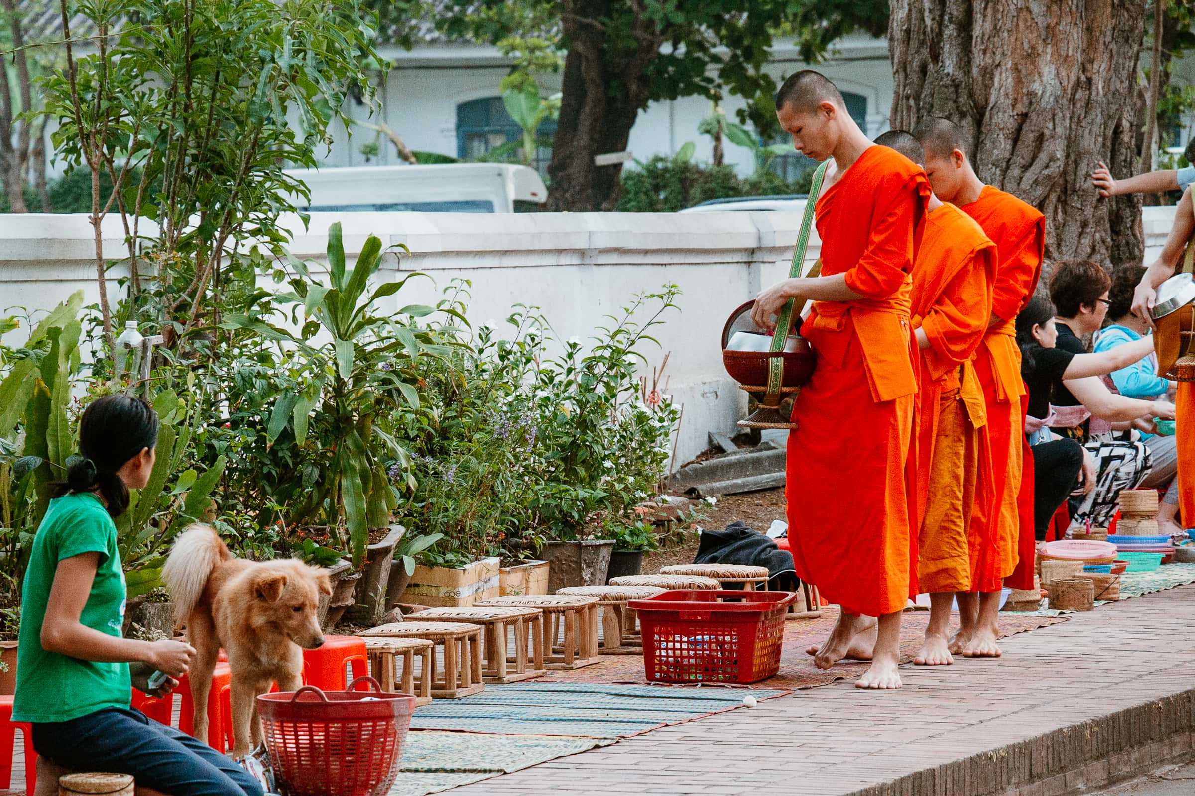 Prozession der Mönche in Luang Prabang in Laos