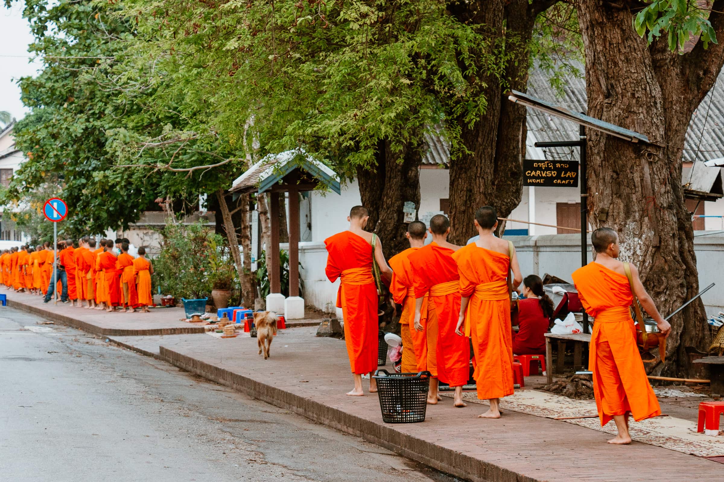 Mönche beim Almosengang in Luang Prabang in Laos