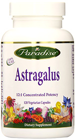 Astragalus-Spirit-Herb