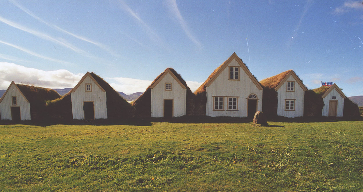 detox-your-home-of-toxins-green-home