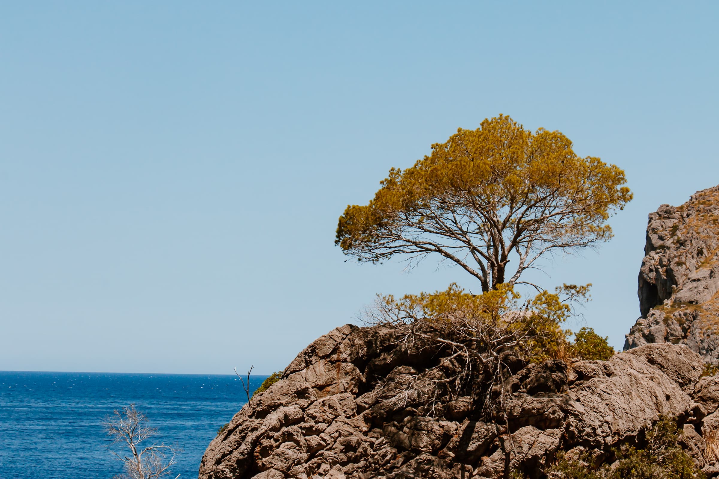Sa Calobra Bucht am Torrent de Pareis Mallorca