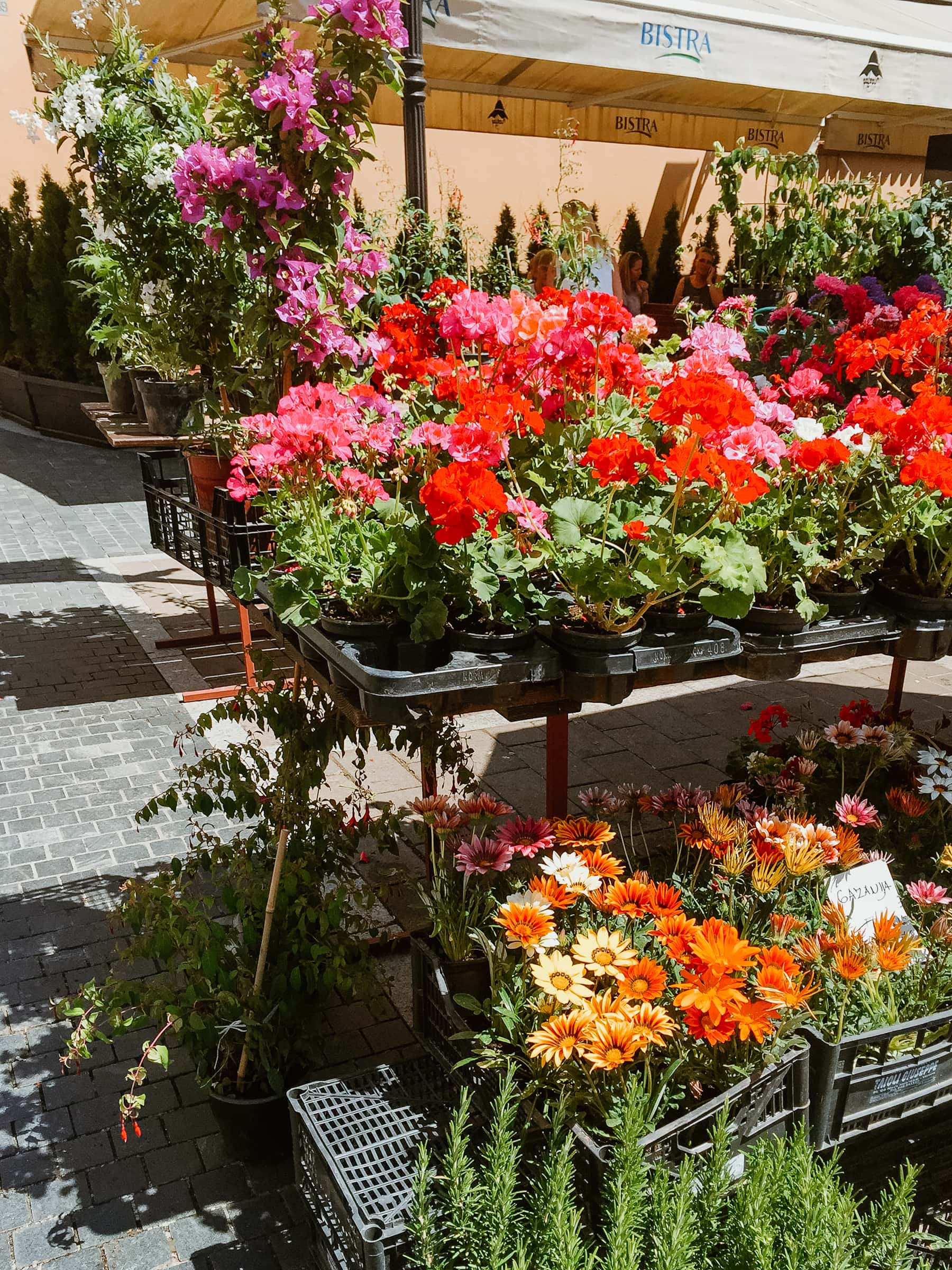 Zagreb Tipps Dolac Markt