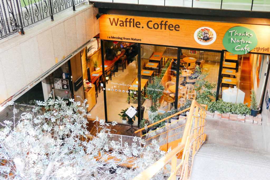 Thanks Nature Café, Seoul, Korea Café mit Schafen