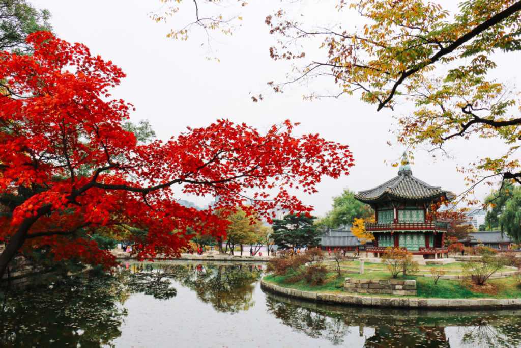 herbst im garten gyeongbokgung palast seoul korea