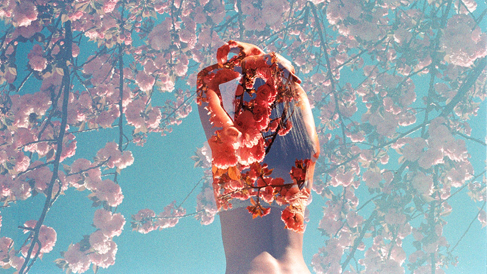 The Whole Body Cleanse: How to Detox Your Body Head to Toe