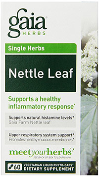 Nettle-Leaf