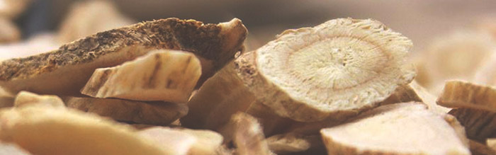 astragalus-natural-antiviral