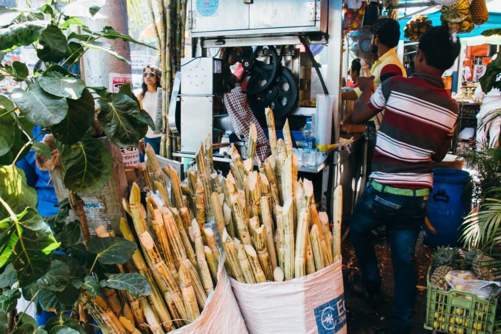 zuckerrohrpresse in indien