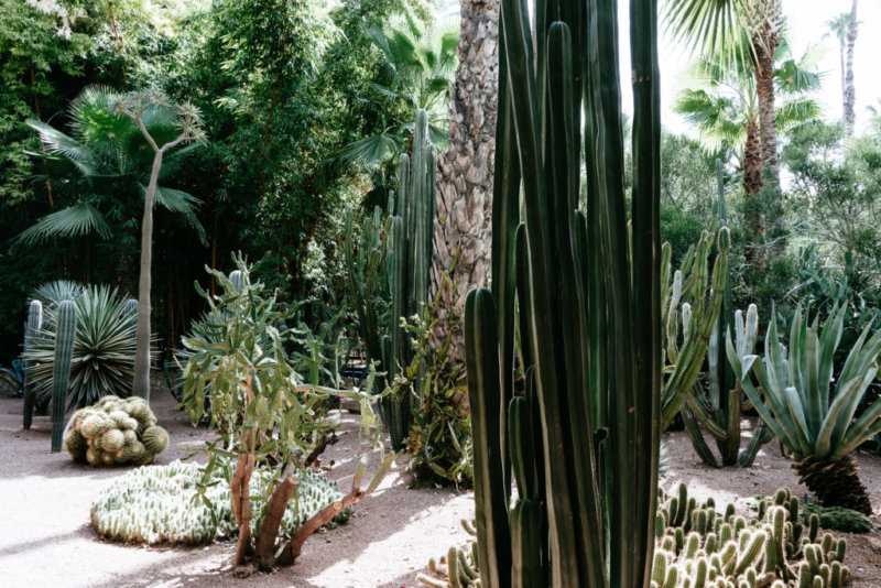 Jardin Majorelle Marrakesch