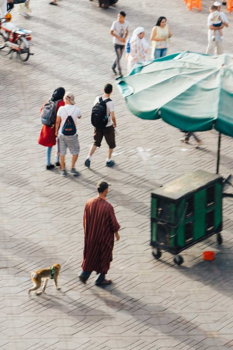 Affen Bändiger Marrakesch Marokko Markt Platz