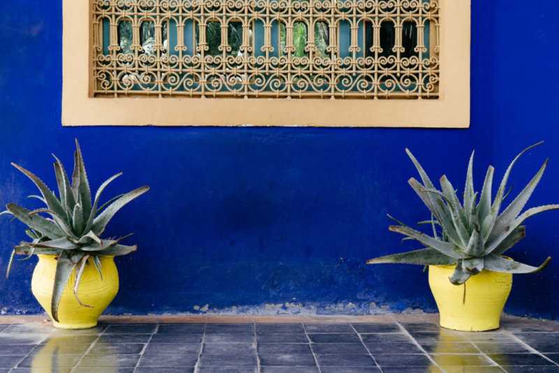 Gelbe Vasen blaue Wand Jardin Majorelle Yves Saint Laurent Marrakesch