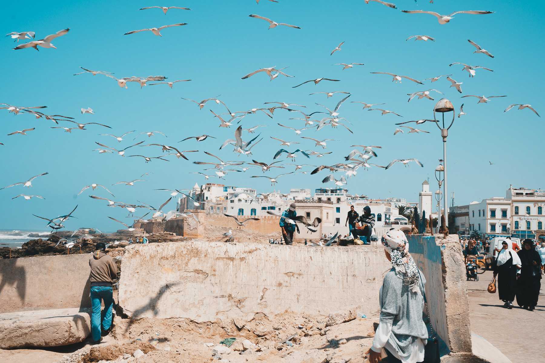essaouira