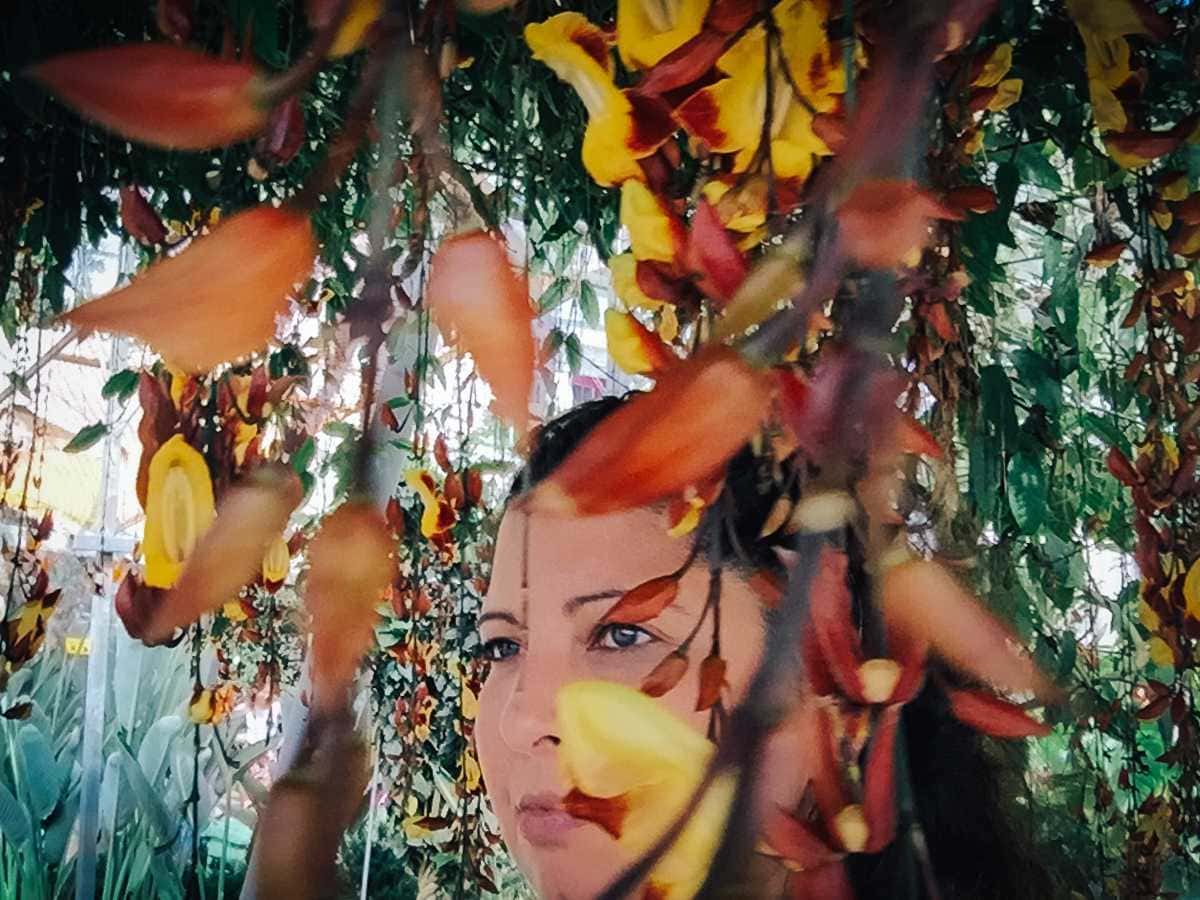 Cameron Highlands Butterfly Farm