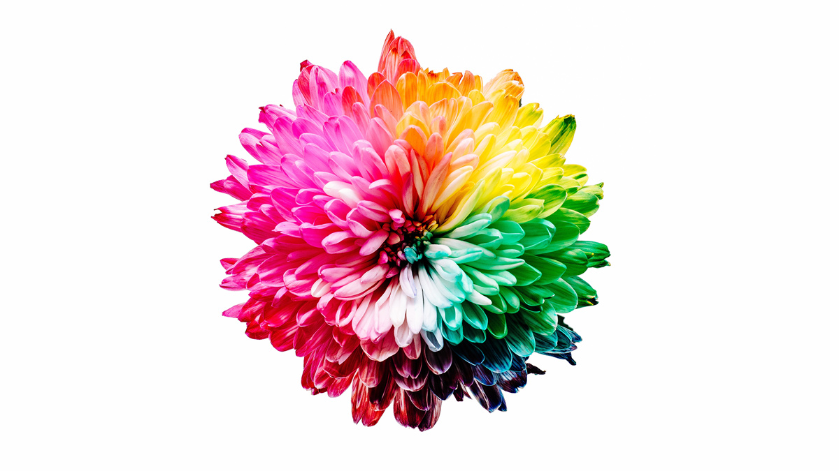 The 22 Best Essential Oils For Balancing the Chakras