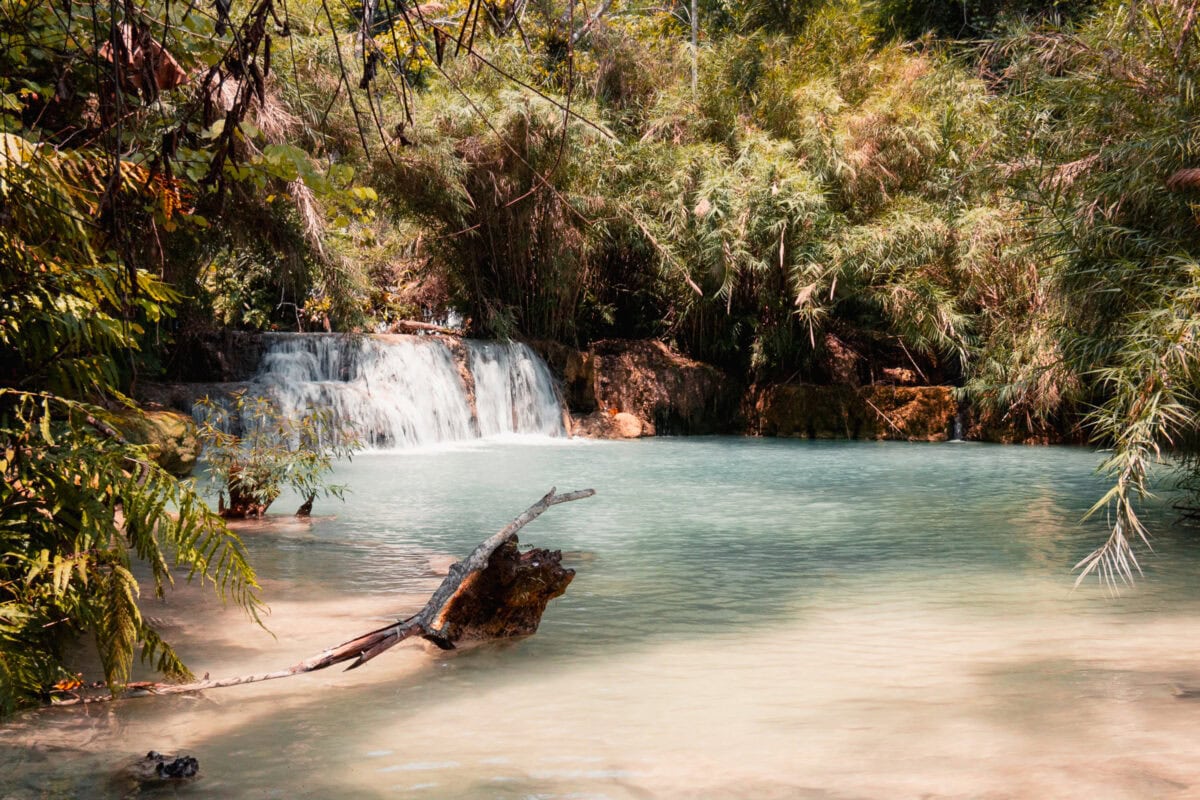 Kleiner Wasserfall im tropischen Dschungel