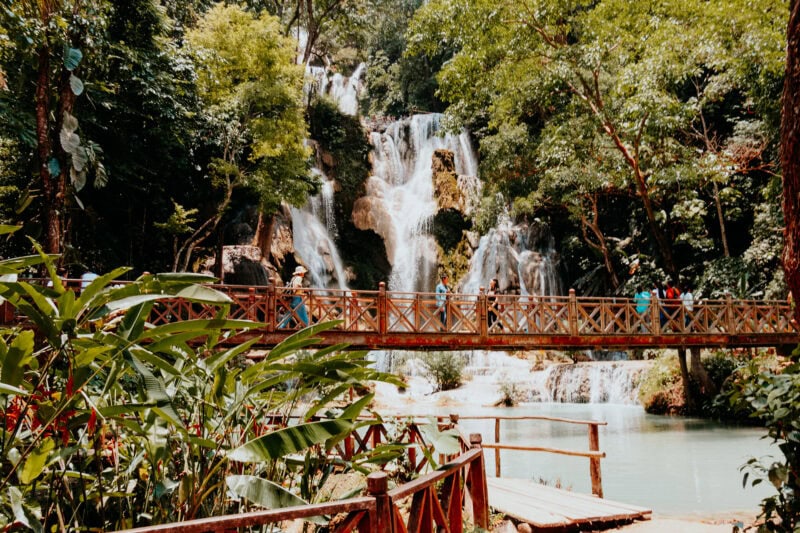 Wooden bridge and waterfall in the jungle