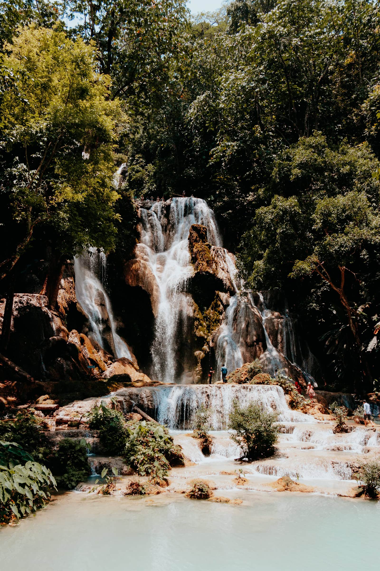 Malerischer Wasserfall im grünen Wald