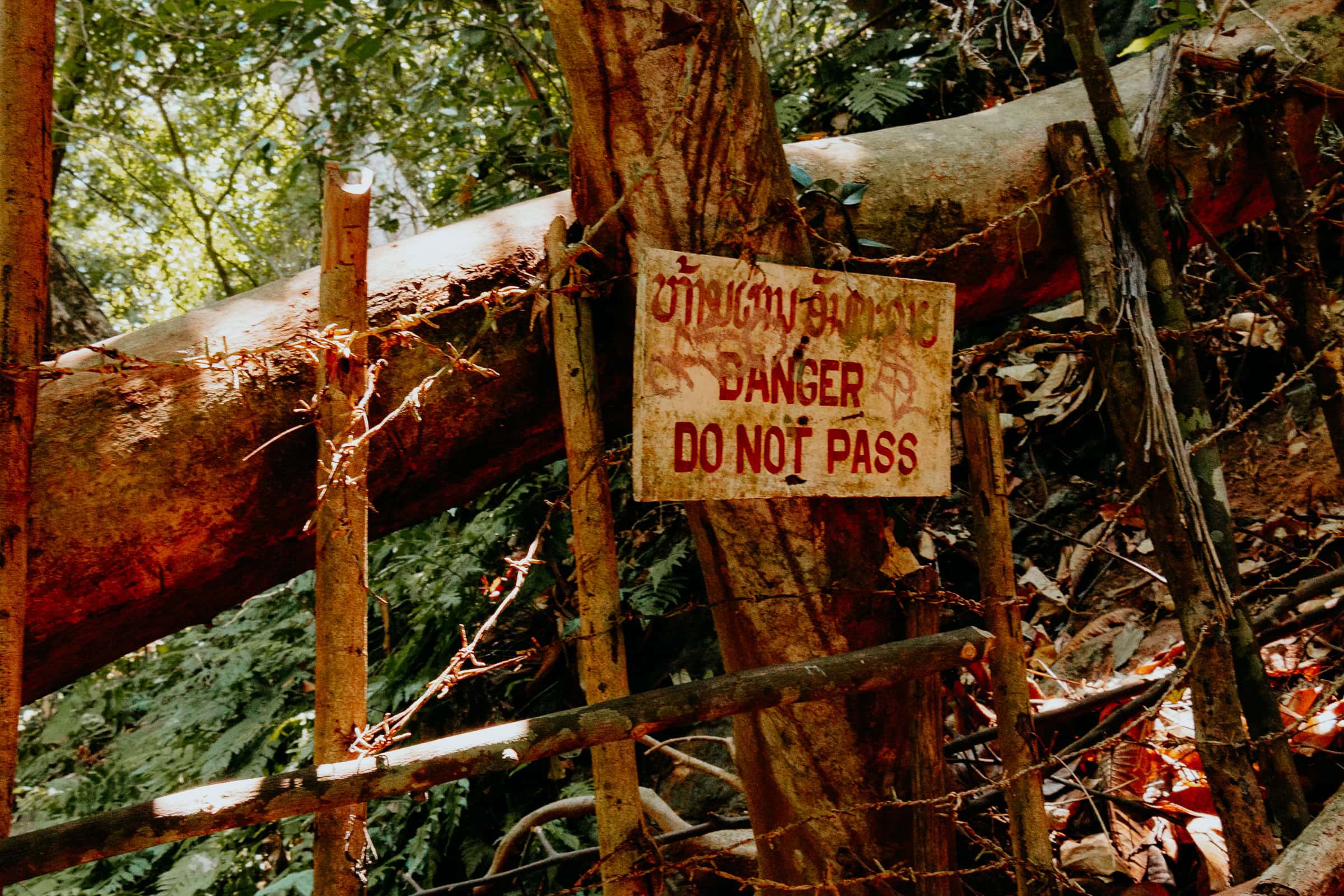 Gefahrenschild im Dschungel vor einem Baum