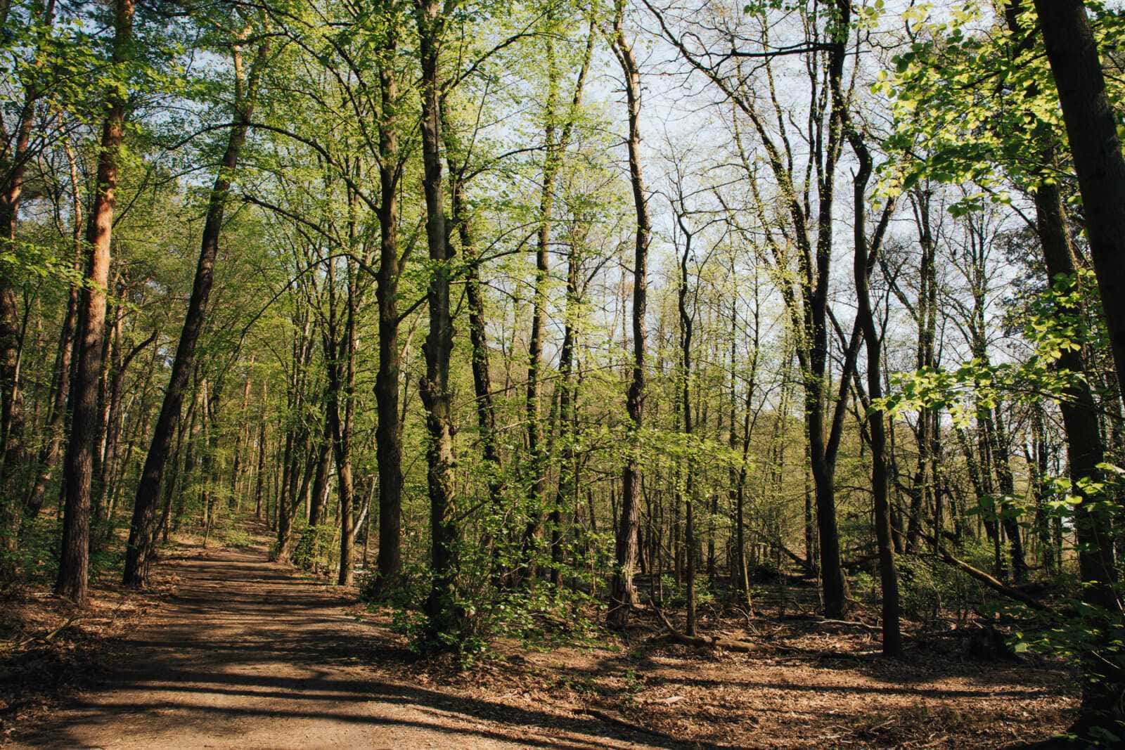 Radtour Müggelsee und Dahme Wald Weg