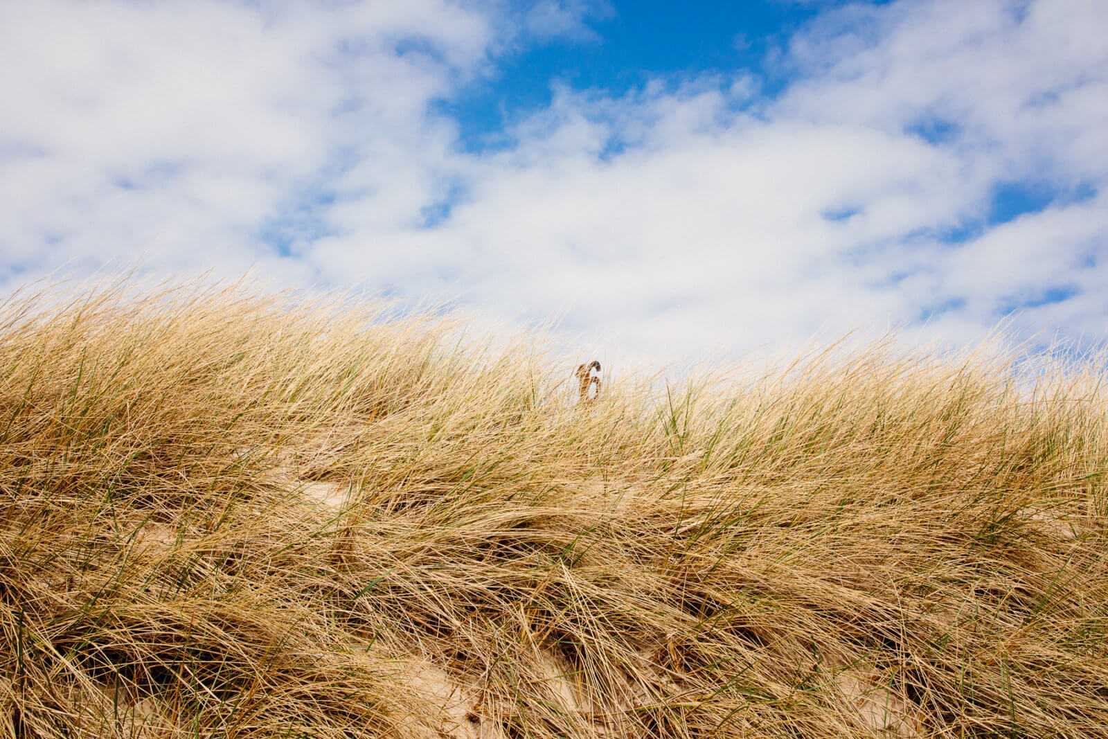 Sylt Sehenswürdigkeiten Buhne 16 Kampen Dünen