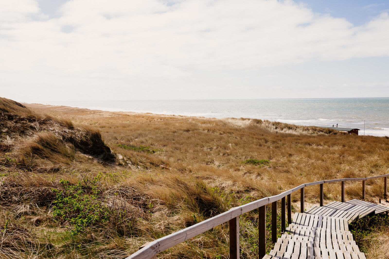 Sylt Sehenswürdigkeiten Rantum Strand Düne