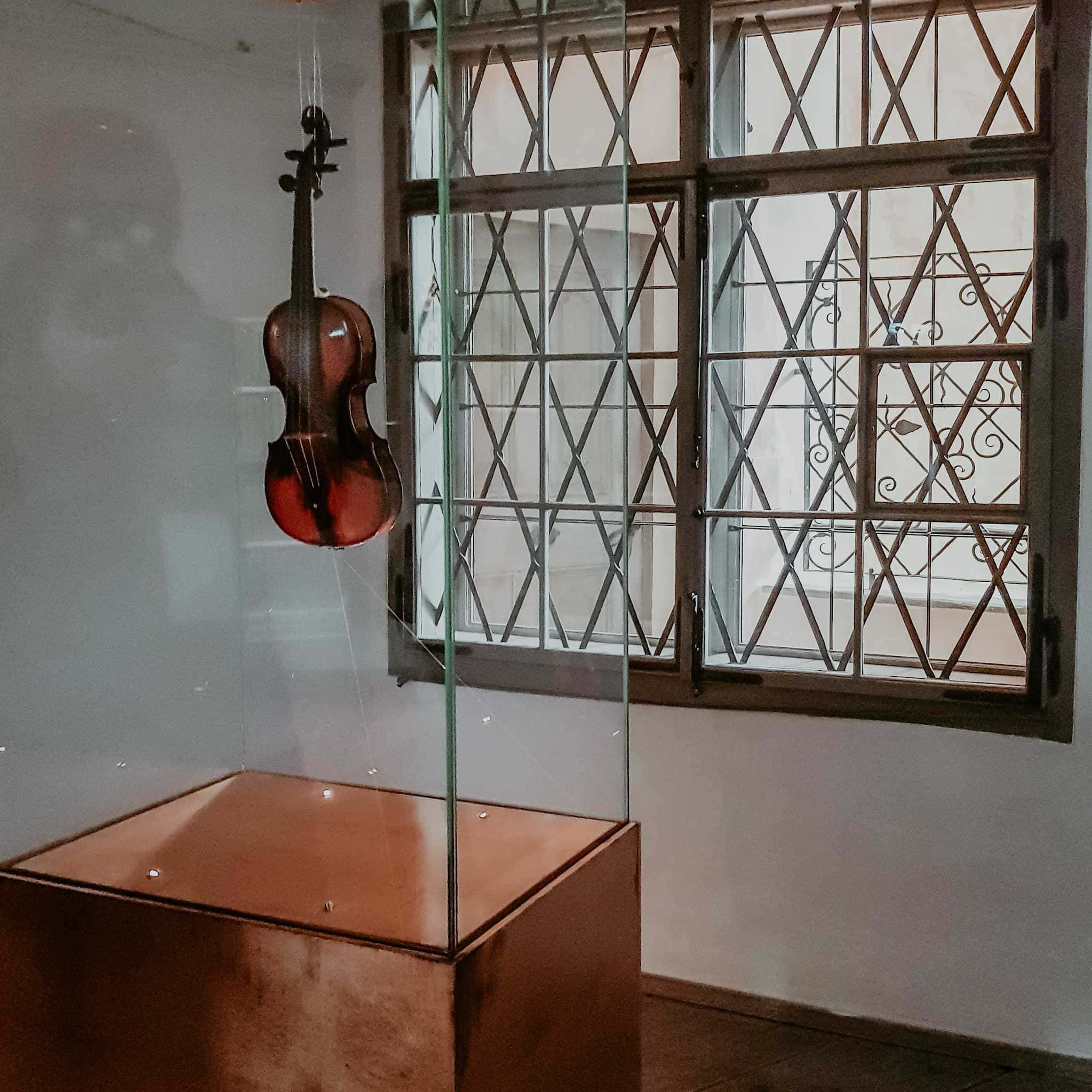 Geige Vitrine Wolfgang Amadeus Mozart Geburthaus