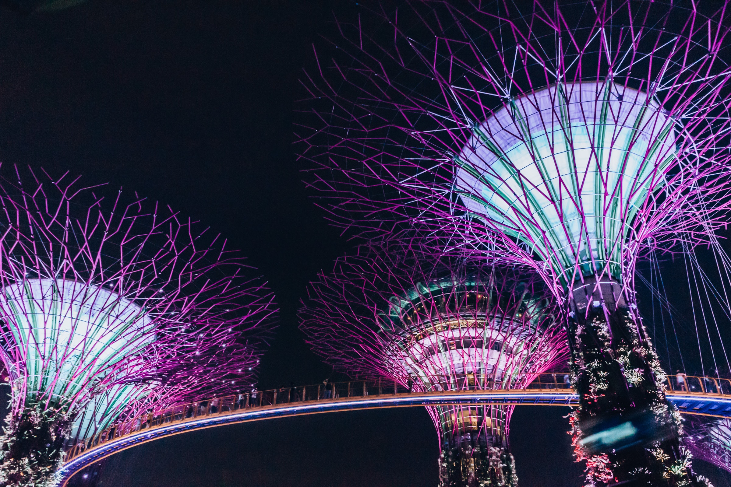 Leuchtende Supertrees in den Gardens by the Bay in Singapur bei Nacht
