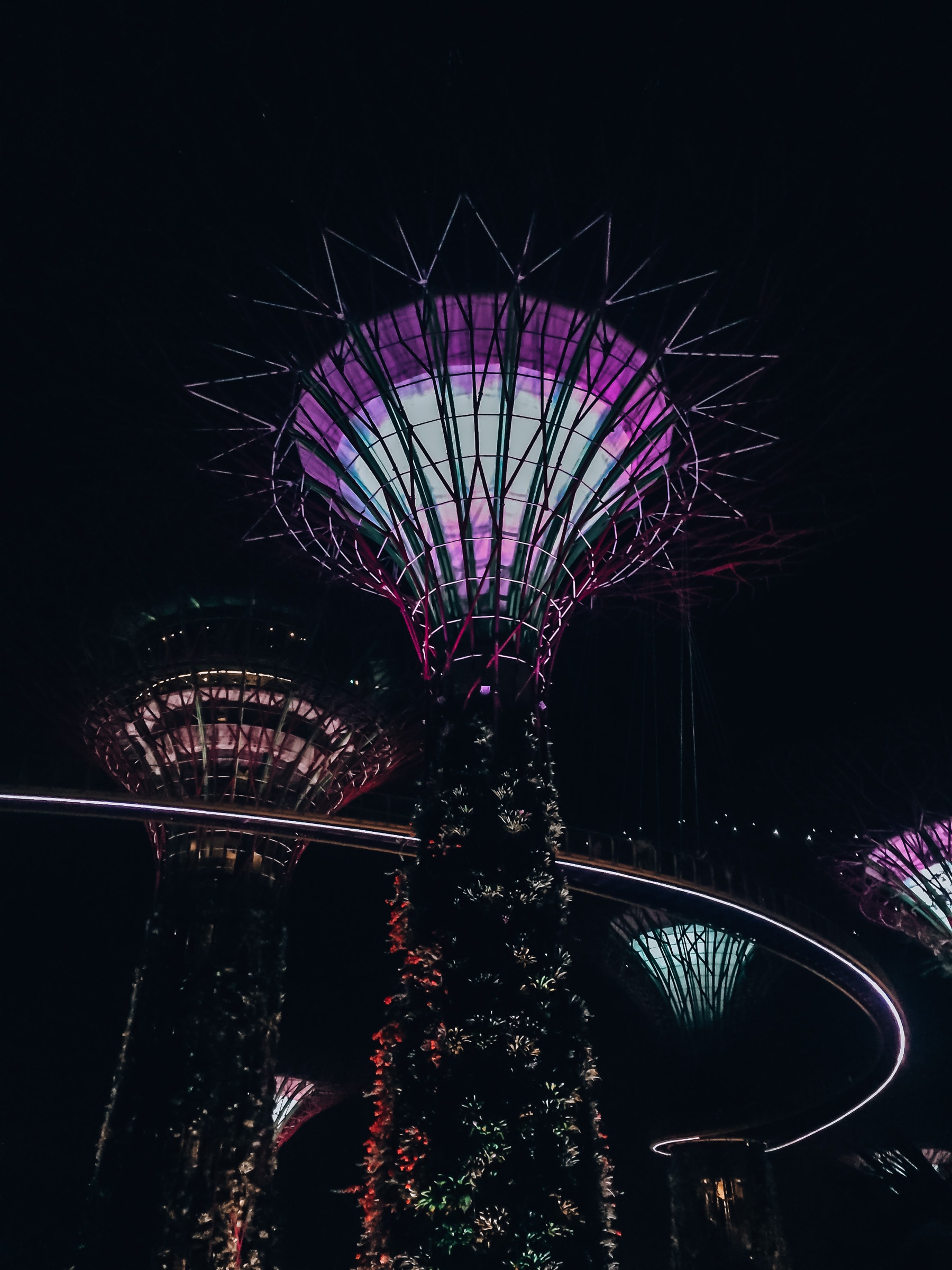 Leuchtende Supertrees in den Gardens by the Bay in Singapur bei Nacht