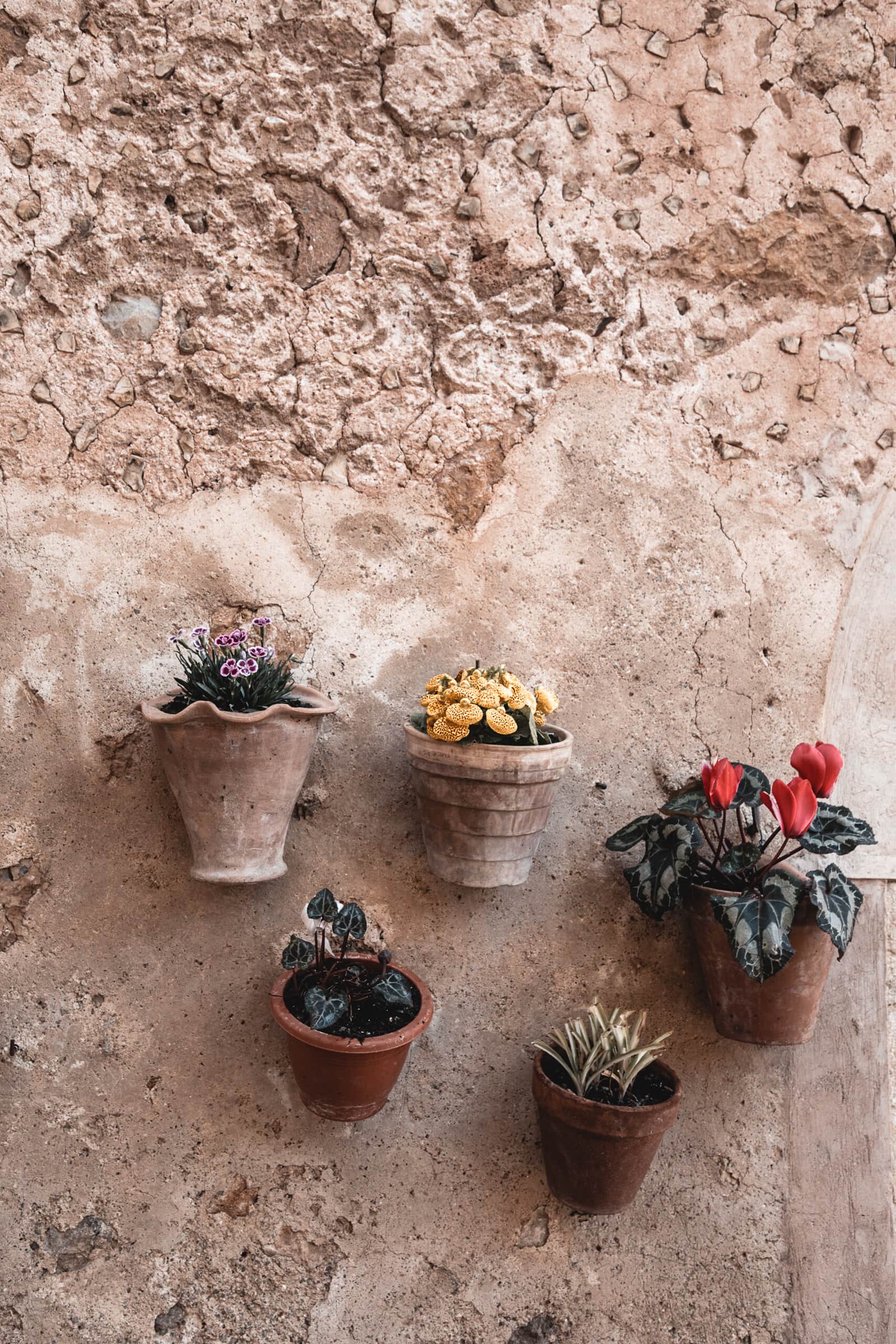 Valldemossa Sehenswürdigkeiten Mallorca Blumentöpfe Häuser