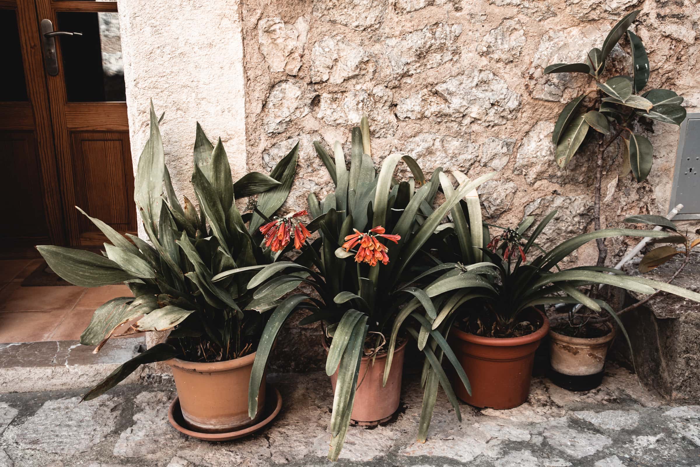 Valldemossa Mallorca Altstadt Gassen Blumen