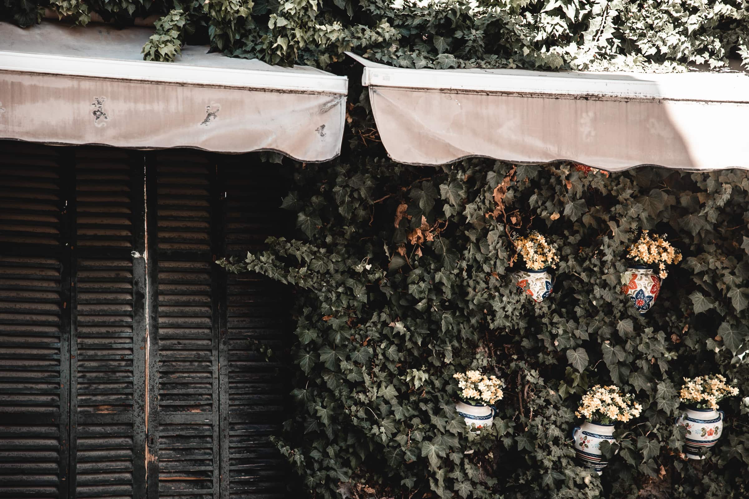 Valldemossa Mallorca