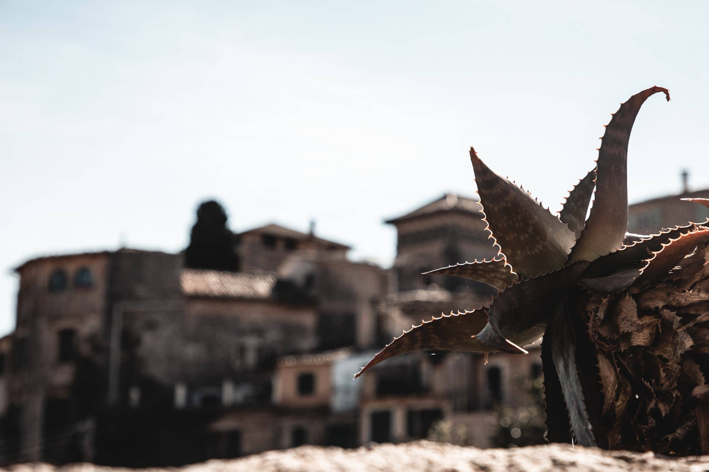 Valldemossa Sehenswürdigkeiten Mallorca